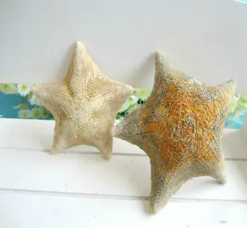 Natural conch shell shells starfish 10-13 cm sea star specimens of natural dried shells starfish
Natural conch shell shells starfish 10-13 cm sea star specimens of natural dried shells starfish