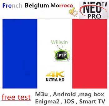 NEOTV pro IPTV NEOX iptv subscription Europe Arabic Italian belgium spanish IPTV Willwin
NEOTV pro IPTV NEOX iptv subscription Europe Arabic Italian belgium spanish IPTV Willwin