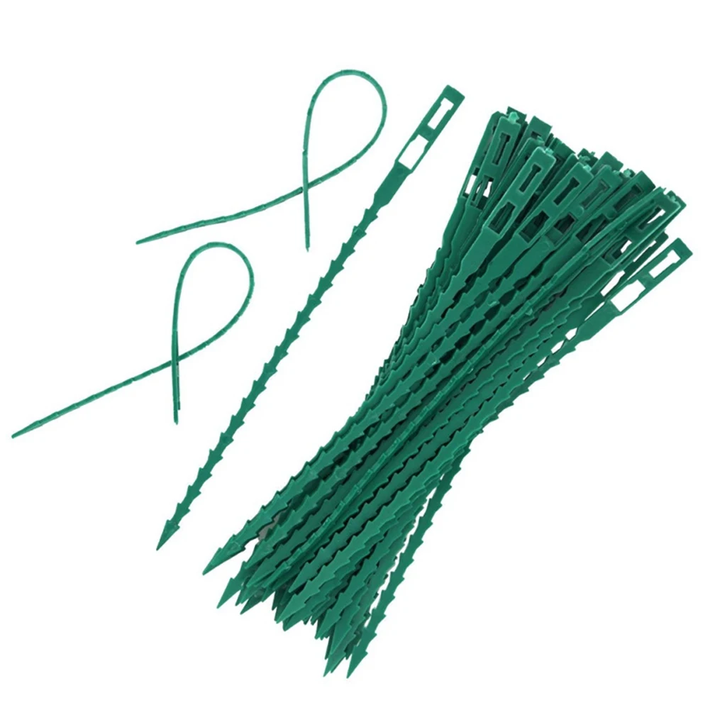 Garden Plastic Wire Ties Multi-Purpose UV Resistant Fishbone Shape Cable Tie For Fixing Plants 3 Sizes
Garden Plastic Wire Ties Multi-Purpose UV Resistant Fishbone Shape Cable Tie For Fixing Plants 3 Sizes