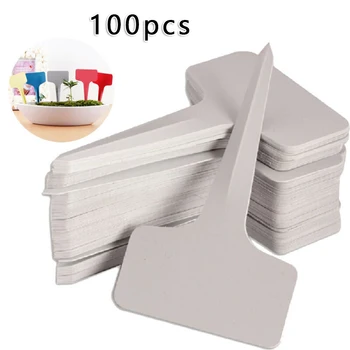 100pcs White Plastic Gardening Tags Flower Plant Seedling Labels Bonsai Marking Waterproof For Garden
100pcs White Plastic Gardening Tags Flower Plant Seedling Labels Bonsai Marking Waterproof For Garden