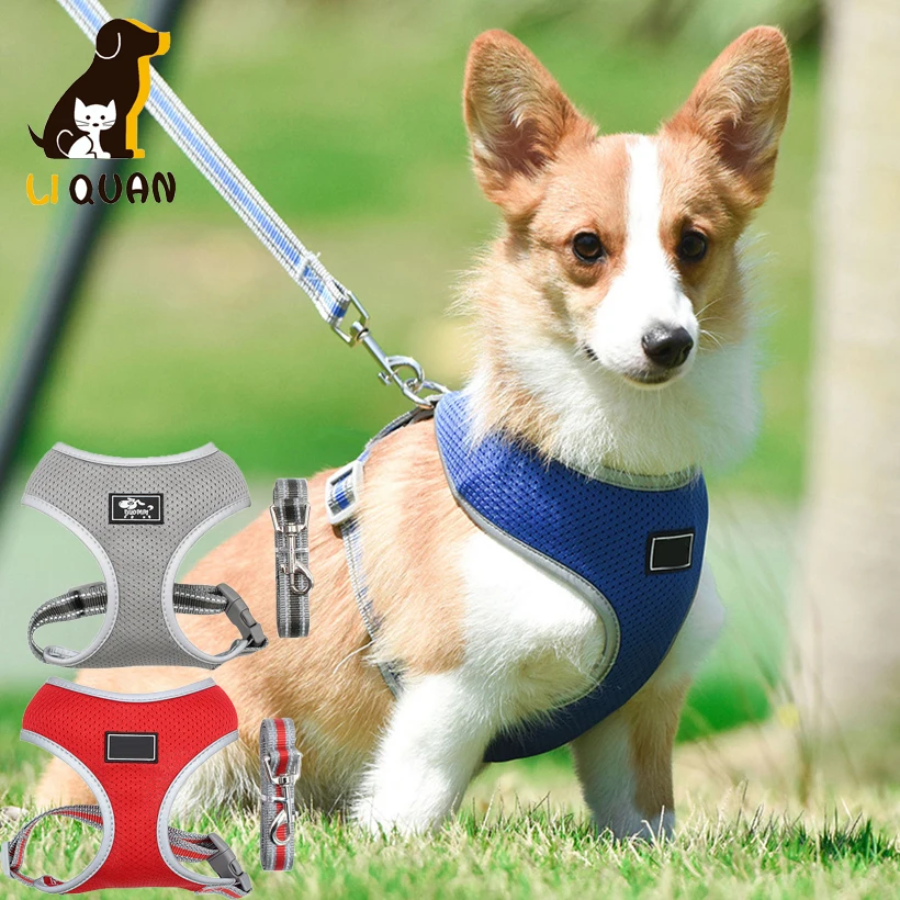 New Polyester Dog Harness Reflective Dog Harness and Leash Set Pet Adjustable Vest Lead Dog Breathable Chest Strap Collar
New Polyester Dog Harness Reflective Dog Harness and Leash Set Pet Adjustable Vest Lead Dog Breathable Chest Strap Collar