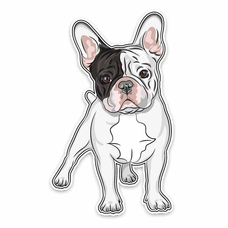 Funny Cute Dog Car Sticker Automobiles Motorcycles Exterior Accessories Vinyl Decals for Honda Lada Bmw Audi,15cm*9.3cm
Funny Cute Dog Car Sticker Automobiles Motorcycles Exterior Accessories Vinyl Decals for Honda Lada Bmw Audi,15cm*9.3cm