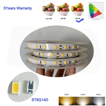 12V 24V White LED Strip Lights High CRI 90 Seoul LED 5630 5m Per Roll No-Waterproof
12V 24V White LED Strip Lights High CRI 90 Seoul LED 5630 5m Per Roll No-Waterproof