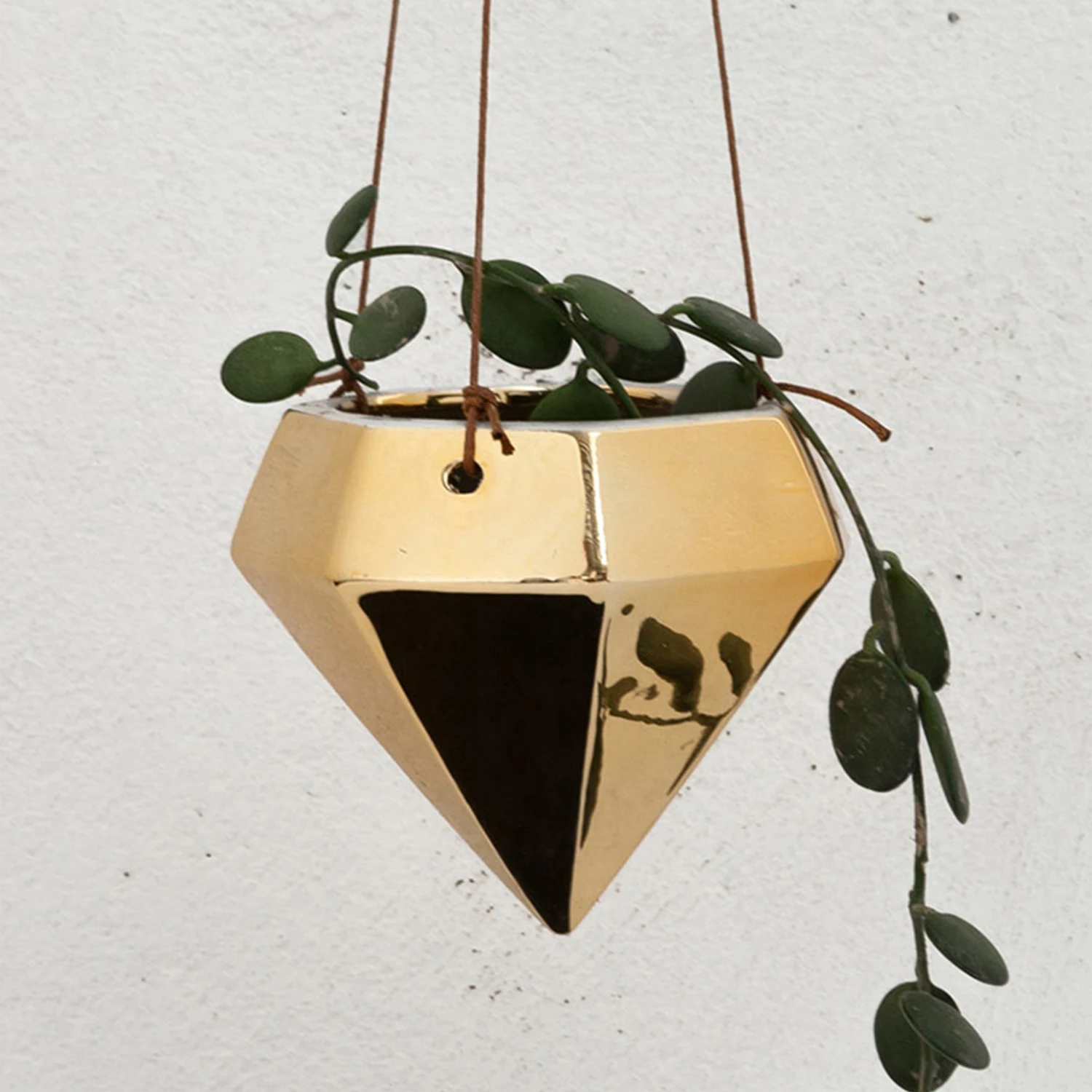 Ceramic Indoor Plants Holder Pot Wall Hanging Air Planter Vase for Flower Succulent Herb Cactus Home Decoration 
Ceramic Indoor Plants Holder Pot Wall Hanging Air Planter Vase for Flower Succulent Herb Cactus Home Decoration