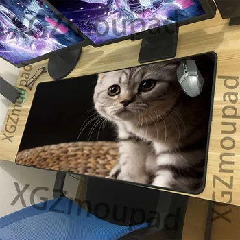XGZ Animal Cat Custom Large Mouse Pad Precision Black Lock Edge Computer Table Mat Natural Rubber Non-slip 900x400/900x300 Xxl
XGZ Animal Cat Custom Large Mouse Pad Precision Black Lock Edge Computer Table Mat Natural Rubber Non-slip 900x400/900x300 Xxl