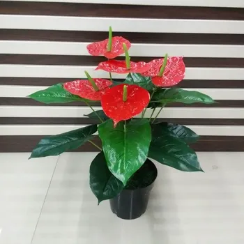 Imitation Flowers Artificial Anthurium Andraeanum Lind Potted Plant Plant Desktop Balcony Set Decorations and Ornaments Engineer
Imitation Flowers Artificial Anthurium Andraeanum Lind Potted Plant Plant Desktop Balcony Set Decorations and Ornaments Engineer