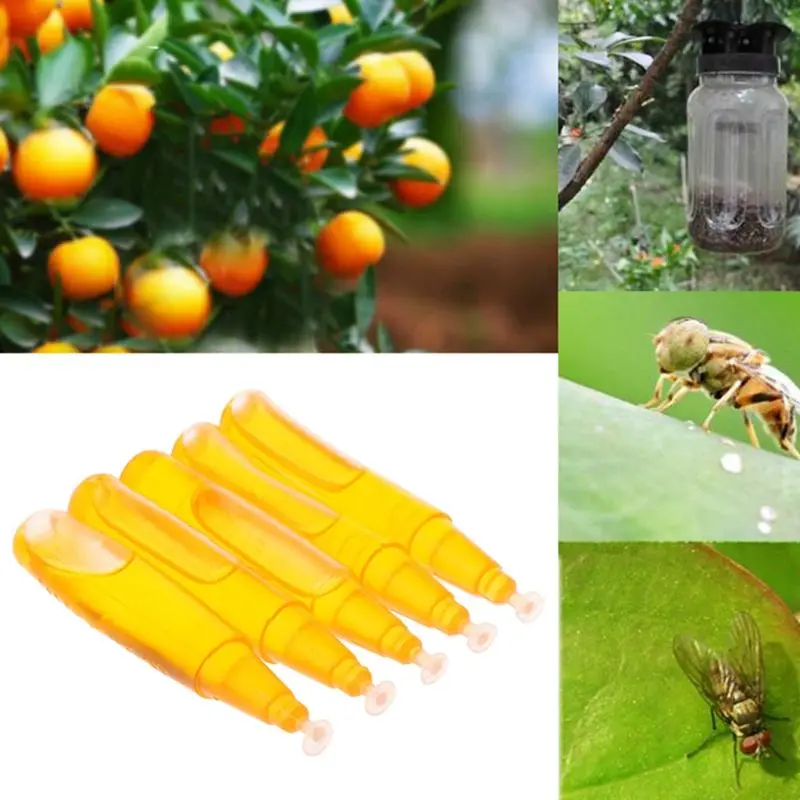 3ml Fruit Fly Attractant Medicine Bait Trap Bug Killer Pest Control Insecticide Garden Fruit Farm Accessory
3ml Fruit Fly Attractant Medicine Bait Trap Bug Killer Pest Control Insecticide Garden Fruit Farm Accessory