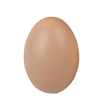 Cute Simulation Eggs Simple Handling Good Material Flexibility Model Farm Nesting Hen Hatching Egg Children Education Toy
Cute Simulation Eggs Simple Handling Good Material Flexibility Model Farm Nesting Hen Hatching Egg Children Education Toy