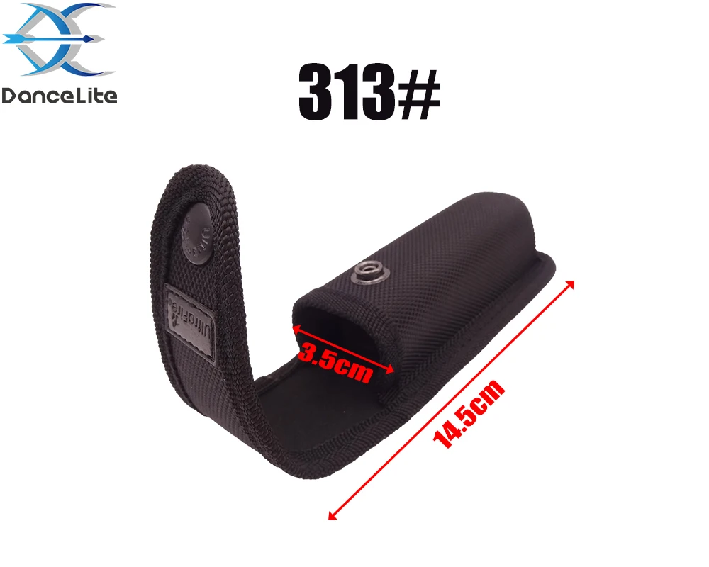 313
