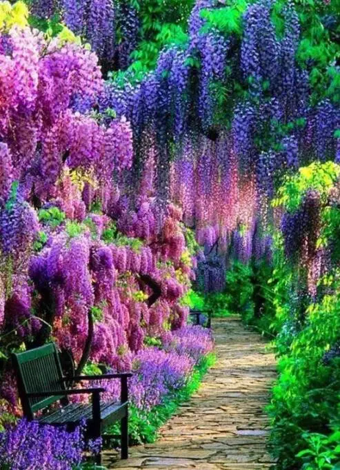 5d Diy Diamond Paintnig Mosaic Tree Handicraft Diamond Embroidery Cross Stitch Landscape Full Square Home Decoration Sale
5d Diy Diamond Paintnig Mosaic Tree Handicraft Diamond Embroidery Cross Stitch Landscape Full Square Home Decoration Sale