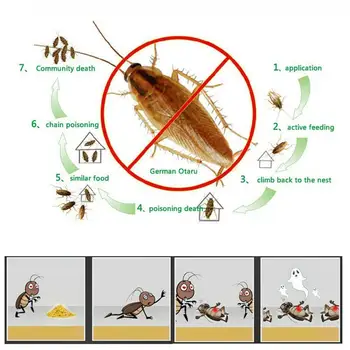 1PCS Effective Killer Cockroach Powder Bait Special Control Insect Beetle Insecticide Cucaracha Bug Pest Reject Medicine R6H7
1PCS Effective Killer Cockroach Powder Bait Special Control Insect Beetle Insecticide Cucaracha Bug Pest Reject Medicine R6H7
