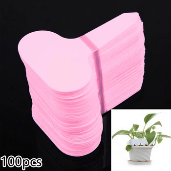 100Pcs Plastic KR Tags Plant Flower Label Nursery T-type Thick Tag Classify Seedlings Botanical Garden Supplies 10x6cm Plastic
100Pcs Plastic KR Tags Plant Flower Label Nursery T-type Thick Tag Classify Seedlings Botanical Garden Supplies 10x6cm Plastic