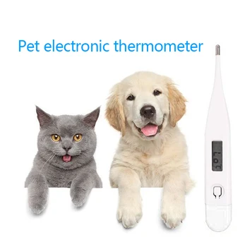 Digital Thermometer Baby LCD Waterproof Thermometer Baby Adult Body Temperature Accuracy Measure For Baby Adult At Home
Digital Thermometer Baby LCD Waterproof Thermometer Baby Adult Body Temperature Accuracy Measure For Baby Adult At Home