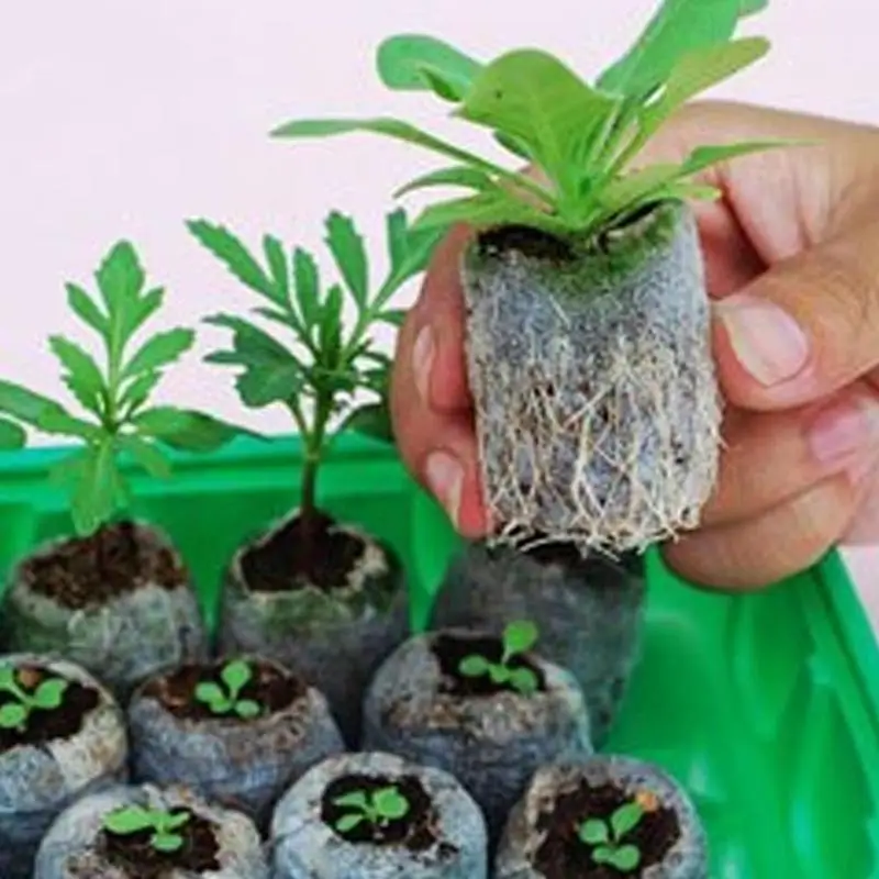 1Pc Seedlings Nutrient Block Compression Compressed Peat Blocks Magic Soil Easy to Pack and Use for Garden Planting Seedling
1Pc Seedlings Nutrient Block Compression Compressed Peat Blocks Magic Soil Easy to Pack and Use for Garden Planting Seedling