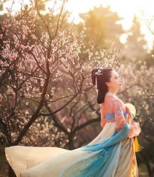 Hanfu Women's Line Chest Skirt Embroidered Fresh Hanfu Han Elements Daily Hanfu Non-guest Costumes New Style 
Hanfu Women's Line Chest Skirt Embroidered Fresh Hanfu Han Elements Daily Hanfu Non-guest Costumes New Style