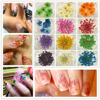 New Hot 1 Set Nail Art Decoration Small Dried Flower DIY Manicure Accessories for Women Lady SMR88 
New Hot 1 Set Nail Art Decoration Small Dried Flower DIY Manicure Accessories for Women Lady SMR88