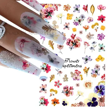 Dried Flower Summer Nails 3D Nail Art Stickers Decals Self Adhesive Maincure Salon Acrylic Nail Tool 
Dried Flower Summer Nails 3D Nail Art Stickers Decals Self Adhesive Maincure Salon Acrylic Nail Tool