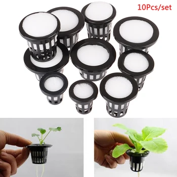 10set Mesh Pot Net Cup Basket Hydroponic System Garden Plant Grow Vegetable Cloning Seed Germinate Nursery Pots
10set Mesh Pot Net Cup Basket Hydroponic System Garden Plant Grow Vegetable Cloning Seed Germinate Nursery Pots