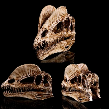 Others Dinosaur Skull Model Decor Resin Dinosaur Skeleton Decoration Fossil Home Garden Handicrafts
Others Dinosaur Skull Model Decor Resin Dinosaur Skeleton Decoration Fossil Home Garden Handicrafts