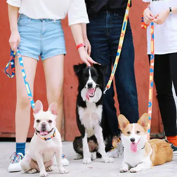 HOOPET Fashion Pattern Dog Leash Collar Set Printed Nylon Pet Leash Rope For Small Medium Dogs Soft Pet Walking Leashes
HOOPET Fashion Pattern Dog Leash Collar Set Printed Nylon Pet Leash Rope For Small Medium Dogs Soft Pet Walking Leashes