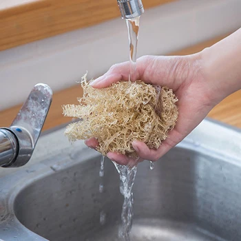 3Pcs Dish Brush Multipurpose Convenient Practical Durable Potable Cleaning Brush Cleaning Tool for Kitchen
3Pcs Dish Brush Multipurpose Convenient Practical Durable Potable Cleaning Brush Cleaning Tool for Kitchen