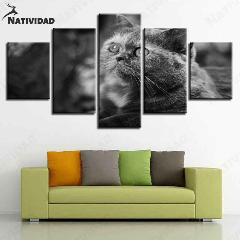 Black Cat Picture Print Canvas Painting Poster Home Wall Art Modern Animal Pictures Room Decoration Wall Posters Wall Art
Black Cat Picture Print Canvas Painting Poster Home Wall Art Modern Animal Pictures Room Decoration Wall Posters Wall Art