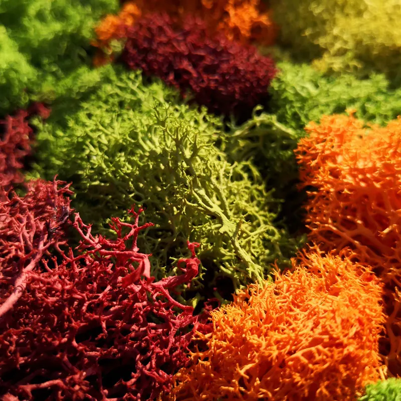 未标题-1