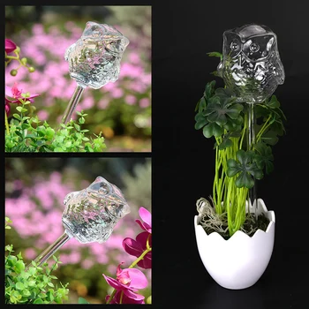 Automatic Watering Device Owl Shape Transparent Garden Plant Gardening Irrigation Glass Self Watering
Automatic Watering Device Owl Shape Transparent Garden Plant Gardening Irrigation Glass Self Watering
