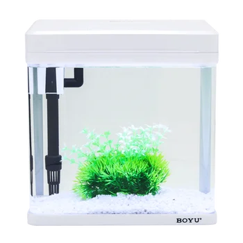 Aquarium Small Mini Desktop Ecological Landscape Ornamental Fish Free Water Goldfish Tank Home Living Room
Aquarium Small Mini Desktop Ecological Landscape Ornamental Fish Free Water Goldfish Tank Home Living Room