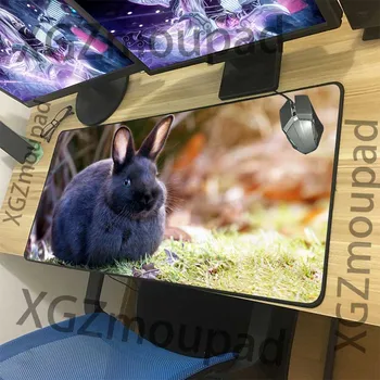XGZ Animal Rabbit Custom Large Mouse Pad Black Lock Edge Computer Keyboard Table Mat Speed Rubber Non-slip 900x400/900x300 Xxl
XGZ Animal Rabbit Custom Large Mouse Pad Black Lock Edge Computer Keyboard Table Mat Speed Rubber Non-slip 900x400/900x300 Xxl