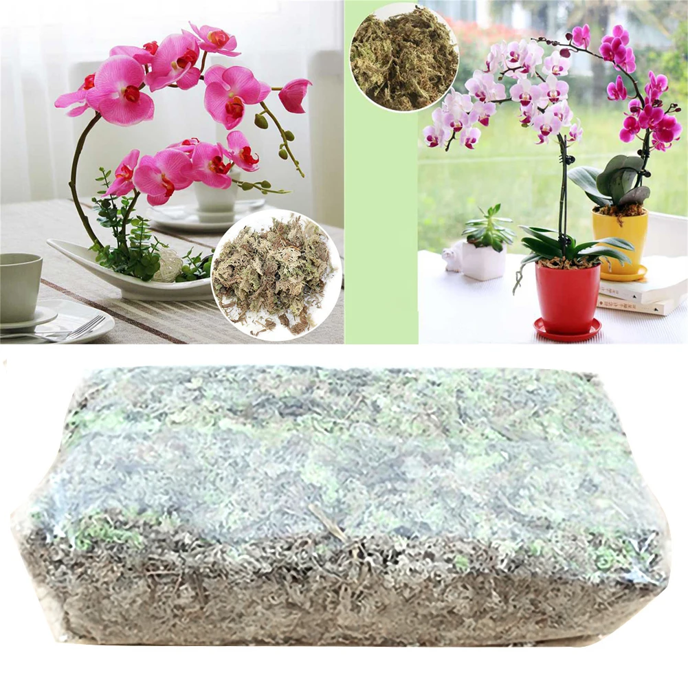 12L Sphagnum Moss Nutrition Organic Fertilizer For Orchid Phalaenopsis Musgo Flower Garden Supplies | Дом и сад