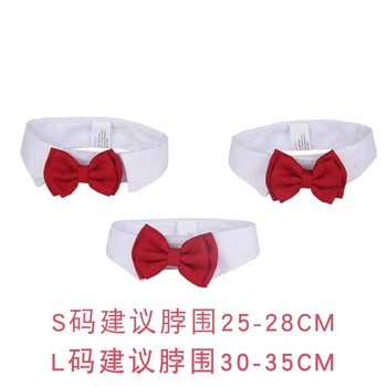 Small dog cat bow tie pet collar
Small dog cat bow tie pet collar