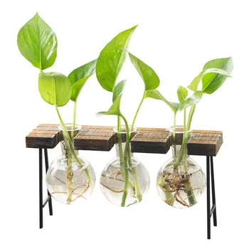 Hydroponic Glass Water Planter Bulb Vase with Retro Wooden Stand Office Desktop Wedding Decor TB Sale
Hydroponic Glass Water Planter Bulb Vase with Retro Wooden Stand Office Desktop Wedding Decor TB Sale