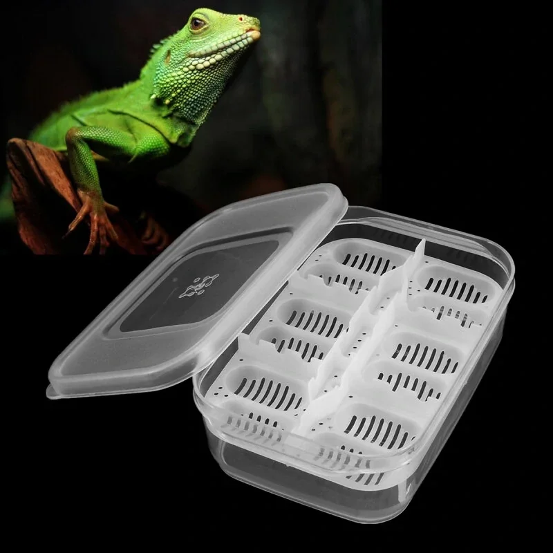12 Reptiles Eggs Incubator Tray Gecko Snake Bird Amphibians Hatching Case Breeding Tools Box
12 Reptiles Eggs Incubator Tray Gecko Snake Bird Amphibians Hatching Case Breeding Tools Box