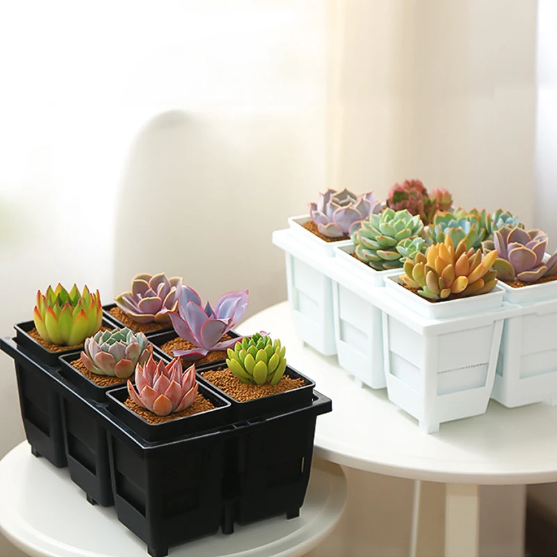 

Meshpot 8 cm 10 cm Deepen Succulent Square Pot Set High Waist Plastic Flower Pots with Tray Cactus Drainage Planter Container