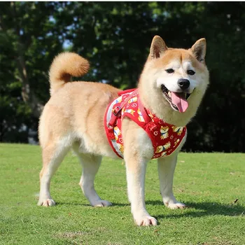 Pet Dog Collar Harness Dog Leash Reflective Harness Hand Holding Rope Small Dog Vest Pet Dog Supplies Accessories Training Tool 
Pet Dog Collar Harness Dog Leash Reflective Harness Hand Holding Rope Small Dog Vest Pet Dog Supplies Accessories Training Tool