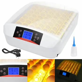 Yonntech Fully Automatic 56 Eggs Incubators with Light Chicken Duck Hatchery Turning Hatcher Machine Brooder 
Yonntech Fully Automatic 56 Eggs Incubators with Light Chicken Duck Hatchery Turning Hatcher Machine Brooder