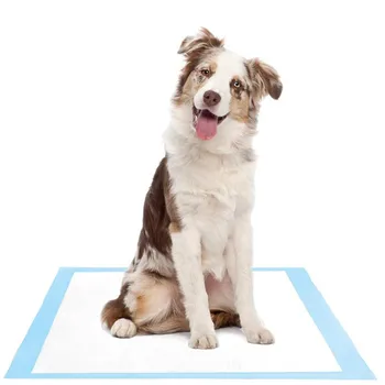 Pet Urine Pad Diaper Disposable Dog Cat Deodorant Absorption Pee Training High Quality Indoor Outdoor Absorbent Pet Dog Cat Pads
Pet Urine Pad Diaper Disposable Dog Cat Deodorant Absorption Pee Training High Quality Indoor Outdoor Absorbent Pet Dog Cat Pads