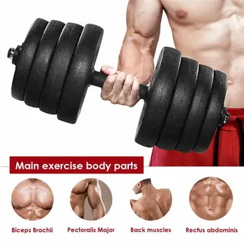 A Pair of 30kg Dumbbell Weight Set Adjustable Solid Fitness Dumbbell Set Safety and Non-slip Dumbbells Gym Exercise Training
A Pair of 30kg Dumbbell Weight Set Adjustable Solid Fitness Dumbbell Set Safety and Non-slip Dumbbells Gym Exercise Training