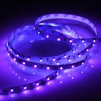 12V 5M Dimmable UV Strip Light for Money Detect Sterilization 390-400nm
12V 5M Dimmable UV Strip Light for Money Detect Sterilization 390-400nm