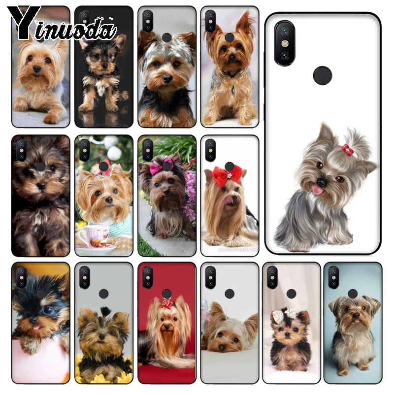 Ynuoda Yorkshire Terrier Puppy Dogs animal Luxury soft Phone Case for xiaomi mi 8 se mi9se note3 redmi 5 5plus note 5 case
Ynuoda Yorkshire Terrier Puppy Dogs animal Luxury soft Phone Case for xiaomi mi 8 se mi9se note3 redmi 5 5plus note 5 case