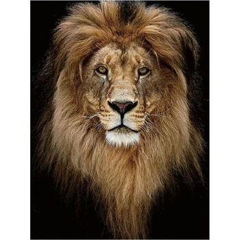 Full diamond embroidery Lion head diy 5d diamond painting animals picture Needlework cross stitch diamond puzzle home decor 
Full diamond embroidery Lion head diy 5d diamond painting animals picture Needlework cross stitch diamond puzzle home decor