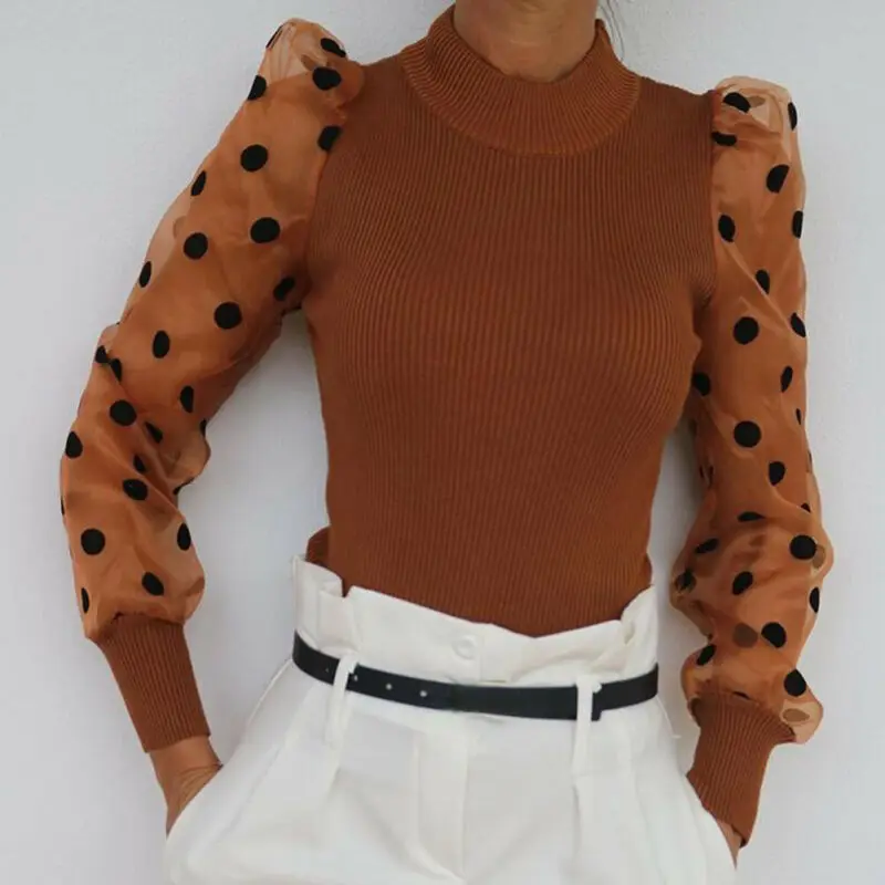 Women Spring Sheer Mesh Polka Dot Puff Long Sleeve Ribbed Knitted Shirt Loose Casual Polka Dots Blouse Elegant Turtleneck Tops
Women Spring Sheer Mesh Polka Dot Puff Long Sleeve Ribbed Knitted Shirt Loose Casual Polka Dots Blouse Elegant Turtleneck Tops