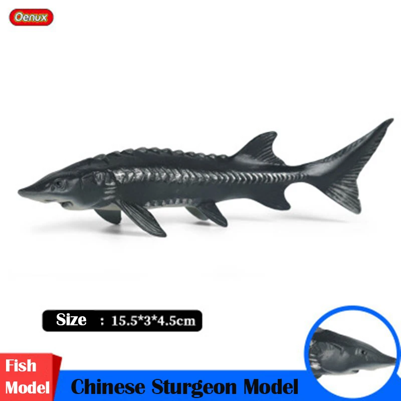 Simulation Chinese Sturgeon Model Plastic Solid Simulated Sea Fish Animals Hand Model Educational Toys Christmas Gift For Kids
Simulation Chinese Sturgeon Model Plastic Solid Simulated Sea Fish Animals Hand Model Educational Toys Christmas Gift For Kids
