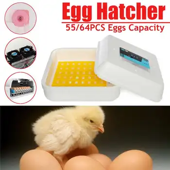 Brooder Digital 55/64 Egg Fully Automatic Incubator Hatcher Turning Chicken Duck Humidity Temperature Control Hatching machine
Brooder Digital 55/64 Egg Fully Automatic Incubator Hatcher Turning Chicken Duck Humidity Temperature Control Hatching machine