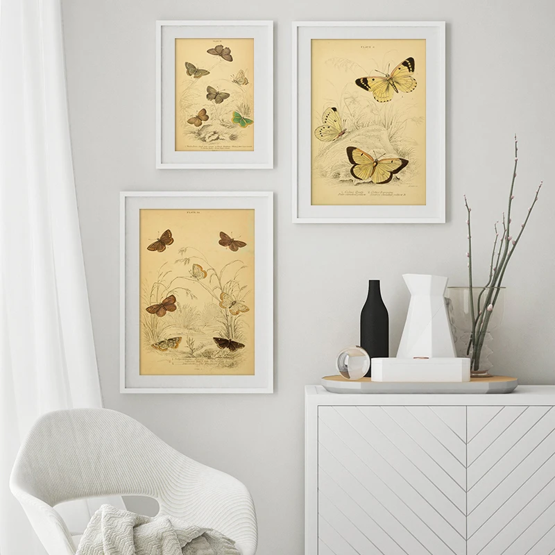Butterflies Vintage Poster And Print Insect Antique Illustration Wall Art Canvas Painting Picture for Living Room Home Decor
Butterflies Vintage Poster And Print Insect Antique Illustration Wall Art Canvas Painting Picture for Living Room Home Decor