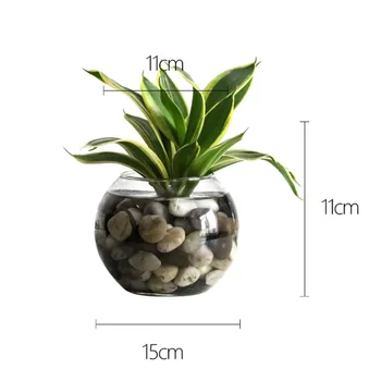 2pcs Hydroponics Plant Holder Transparent Glass Vase Flower Vase Creative Desktop Fish Tank Ornament for Home Office Hotel (12CM
2pcs Hydroponics Plant Holder Transparent Glass Vase Flower Vase Creative Desktop Fish Tank Ornament for Home Office Hotel (12CM