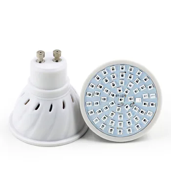 Phyto Lamp E27 GU10 E14 Full Spectrum Led Branch Trimmer Lamp Aglex Feather Long Phytolamp for Plants Full Led Spectrum Aglex 
Phyto Lamp E27 GU10 E14 Full Spectrum Led Branch Trimmer Lamp Aglex Feather Long Phytolamp for Plants Full Led Spectrum Aglex