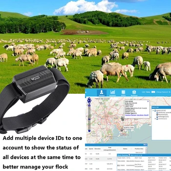 TK935 Personal GPS Animal Tracker with Strong Magnet GPS Tracking for Cow Sheep Small and Stylish APP/platform Realtime Tracking
TK935 Personal GPS Animal Tracker with Strong Magnet GPS Tracking for Cow Sheep Small and Stylish APP/platform Realtime Tracking