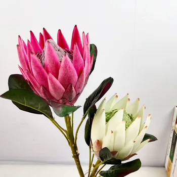 Model Flocked Protea Cynaroides Home Wedding Wedding Shooting Collocation Decoration Artificial Flower Road Lead Decoration Flow
Model Flocked Protea Cynaroides Home Wedding Wedding Shooting Collocation Decoration Artificial Flower Road Lead Decoration Flow
